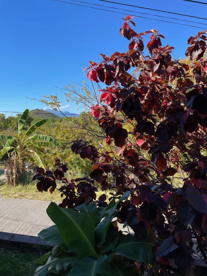 Jardin Sur Mer Terre-De-Haut Eksteriør bilde