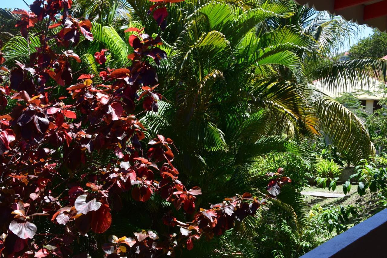 Jardin Sur Mer Terre-De-Haut Eksteriør bilde