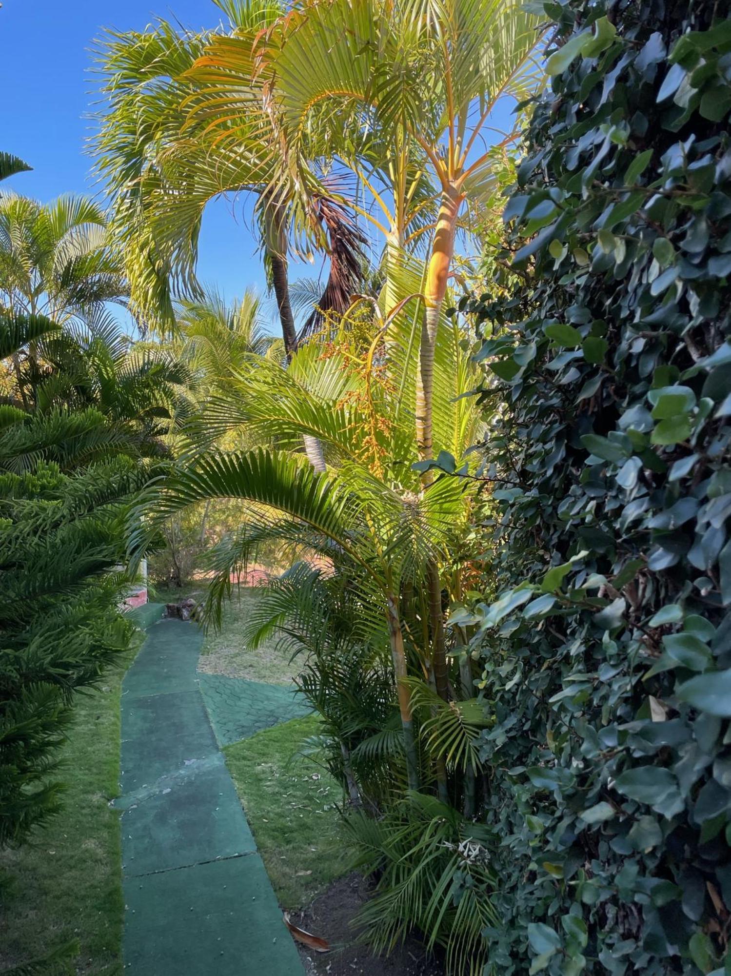 Jardin Sur Mer Terre-De-Haut Eksteriør bilde